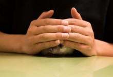 ハリネズミ　Hedgehog　｜ハリネズミとの日常フォトブログ。ちょもフォト島。