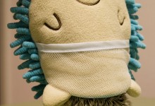 ハリネズミ　Hedgehog　｜ハリネズミとの日常フォトブログ。ちょもフォト島。