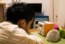 ハリネズミ　Hedgehog　｜ハリネズミとの日常フォトブログ。ちょもフォト島。