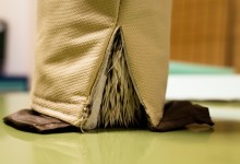 ハリネズミ　Hedgehog　｜ハリネズミとの日常フォトブログ。ちょもフォト島。