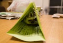 ハリネズミ　Hedgehog　｜ハリネズミとの日常フォトブログ。ちょもフォト島。