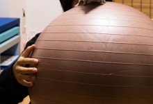 ハリネズミ　Hedgehog　｜ハリネズミとの日常フォトブログ。ちょもフォト島。