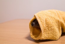 ハリネズミ　Hedgehog　｜ハリネズミとの日常フォトブログ。ちょもフォト島。