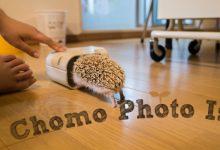 ハリネズミ　Hedgehog　｜ハリネズミとの日常フォトブログ。ちょもフォト島。